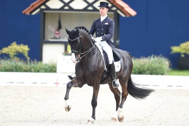 Dressur - Horses and Dreams 2018 - CDI4* GPS - Grand Prix Special (GPS) am 29.04.2018 auf dem Hof Kasselmann in Hagen a.T.W. Benjamin Werndl (Deutschland) auf dem Pferd Daily Mirror 9.