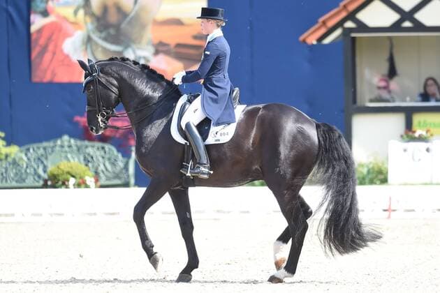 Dressur - Horses and Dreams 2018 - CDI4* GPS - Grand Prix Special (GPS) am 29.04.2018 auf dem Hof Kasselmann in Hagen a.T.W. Therese Nilshagen (Schweden) auf dem Pferd Dante Weltino Old.