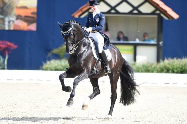 Dressur - Horses and Dreams 2018 - CDI4* GPS - Grand Prix Special (GPS) am 29.04.2018 auf dem Hof Kasselmann in Hagen a.T.W. Therese Nilshagen (Schweden) auf dem Pferd Dante Weltino Old.