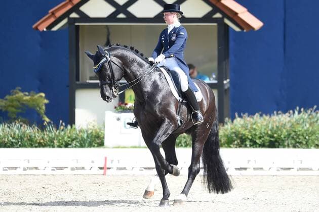 Dressur - Horses and Dreams 2018 - CDI4* GPS - Grand Prix Special (GPS) am 29.04.2018 auf dem Hof Kasselmann in Hagen a.T.W. Therese Nilshagen (Schweden) auf dem Pferd Dante Weltino Old.