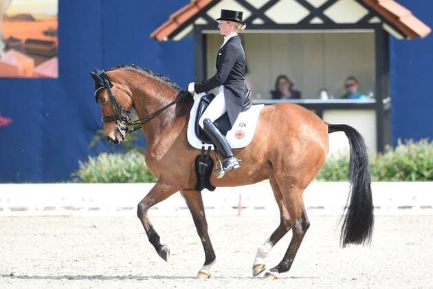 Dressur - Horses and Dreams 2018 - CDI4* GPS - Grand Prix Special (GPS) am 29.04.2018 auf dem Hof Kasselmann in Hagen a.T.W. Jessica von Bredow-Werndl (Deutschland) auf dem Pferd Zaire-E.