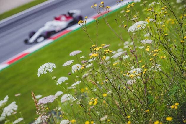 30.06.2018, Red Bull Ring, Spielberg, AUT, FIA, Formel 1, Grosser Preis von Oesterreich, Training, im Bild Marcus Ericsson (SWE, Sauber) Swedish Formula One driver Marcus Ericsson Sauber during training of the Austrian FIA Formula One Grand Prix at the Red Bull Ring in Spielberg, Spielberg