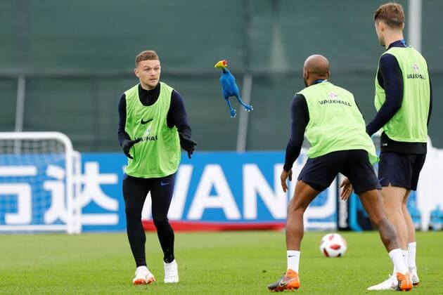 Sport Bilder des Tages SAINT PETERSBURG, RUSSIA - JULY 10: Kieran Trippier (L) of England national team Nationalteam plays with toy rooster during an Englang national team training session ahead of the 2018 FIFA World Cup WM Weltmeisterschaft Fussball Russia Semi Final match against Croatia at Stadium Spartak Zelenogorsk on July 10, 2018 in Saint Petersburg, Russia. SPO, SOC, FOI 