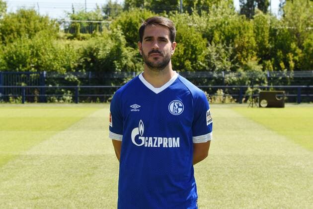 Pablo Insua; FC Schalke 04; 1.BL, Porträttermin 2018 2019