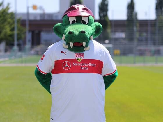 Maskottchen Fritzle; VfB Stuttgart 1893; 1. BL, Portraettermin 2018 2019,