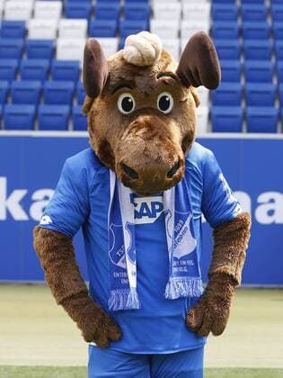 Maskottchen Hoffi , TSG 1899 Hoffenheim . Porträttermin TSG 1899 Hoffenheim 2018-2019 . Sinsheim, GER, 25.07.2018 ,Fussball 1. Bundesliga 2018 2019 .