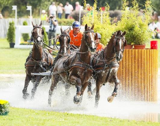 18-23-d5146-Koos de Ronde-NED-Marathon 2018-07-21- 16:46:43h CHIO-AACHEN-Weltfest des Pferdesports -Aachen,-Aachen-Soers,-Deutschland, F4 Preis der Schwartz GmbH Gelaendepruefung fuer Vierspaenner, 2.Teilpru?fung Team-& Einzelwertung Marathon Driving Competition for four-in-hand drivers, 2nd Rating Competition Individual & Team Pferdesport-Fahren