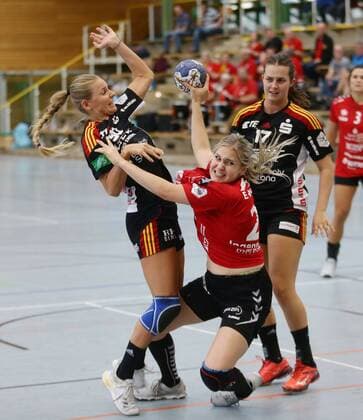Ludwigsburg ; Lotto Cup Finale , HSG Bad Wildungen Vipers ( rot ) vs. HSG Bensheim - Auerbach ( schwarz ) , von links: Bogna Sobiech ( Bensheim ) Annika Ingenpass ( Wildungen ) Lisa Friedberger ( Bensheim )