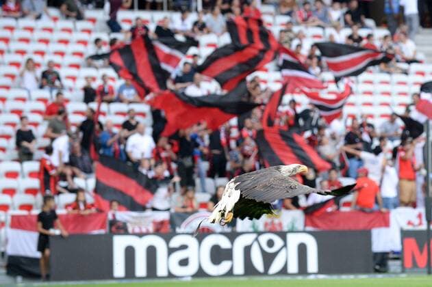 ILLUSTRATION - SUPPORTERS - DRAPEAUX - AIGLE FOOTBALL : Nice vs Rennes - Ligue 1 Conforama - 14 09 2018 FEP Panoramic 