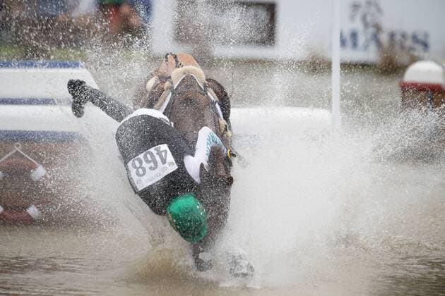Sport Themen der Woche KW37 Sport Bilder des Tages 180915 Australias William Levett competes in eventing cross-country during the FEI World Equestrian Games on September 15, 2018 in Tryon. Photo: Joel Marklund BILDBYRAN kod JM 87779 *** 180915 Australias William Levett competes in eventing cross country during the FEI World Equestrian Games on September 15, 2018 in Tryon Photo Joel Marklund BILDBYRAN Code JM 87779  Copyright: JOELxMARKLUND BB180915JM022