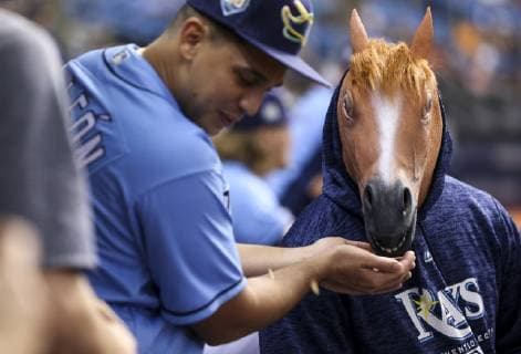 Sport Themen der Woche KW39 Sport Bilder des Tages September 30, 2018 - St. Petersburg, Florida, U.S. - MONICA HERNDON Times.Tampa Bay Rays right fielder Carlos Gomez (27) wears a horse mask as pitcher Jose De Leon feeds him seeds during the Tampa Bay Rays game against the Toronto Blue Jays on September 30, 2018 at Tropicana Field in St. Petersburg, Fla. Florida News - September 30, 2018 - ZUMAs70_ 85793613st Copyright: xMonicaxHerndonx