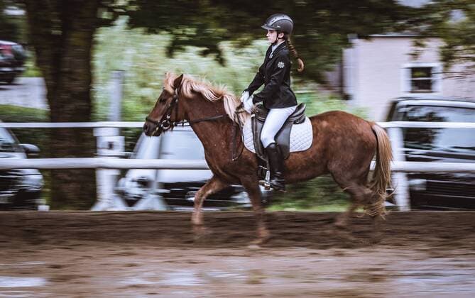 THEMENBILD - eine junge Reiterin mit ihrem Islandpferd bei einer Reitpruefung am Reiterhof Burghauser, aufgenommen am 31. August 2018 in Strasswalchen, Oesterreich a young girl with her Icelandic horse during a riding test at the Reiterhof Burghauser, Strasswalchen, Austria on 2018 08 31. Straaewalchen