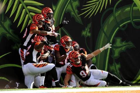 Sport Themen der Woche KW43 Sport Bilder des Tages CINCINNATI, OH - OCTOBER 28: The Cincinnati Bengals celebrate after scoring a touchdown during the NFL American Football Herren USA football game between the Tampa Bay Buccaneers and the Cincinnati Bengals on October 28, 2018, at Paul Brown Stadium in Cincinnati, Ohio. (Photo by Michael Allio Icon Sportswire) NFL: OCT 28 Buccaneers at Bengals Icon116181028030 EDITORIAL USE ONLY