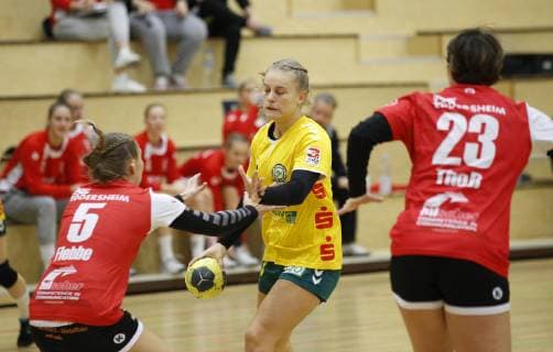 Deutschland - Hattersheim - 04.11.2018 Handball - Hessen - 3. Liga West - Damen Saison 2018 2019 TSG Eddersheim (rot) - SC Markranstädt (gelb) v.l. Alexandra Flebbe (Eddersheim), Jenice Funke (Markranstädt), Lena Thoß (Eddersheim) TSG Eddersheim - SC Markranstädt