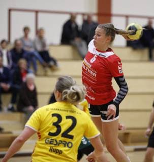 Deutschland - Hattersheim - 04.11.2018 Handball - Hessen - 3. Liga West - Damen Saison 2018 2019 TSG Eddersheim (rot) - SC Markranstädt (gelb) v.l. Martyna Rupp (Markranstädt), Alexandra Flebbe (Eddersheim) TSG Eddersheim - SC Markranstädt