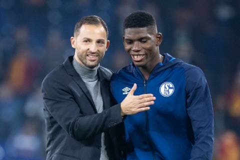 06.11.2018, xkvx, Fussball UEFA Champions League, FC Schalke 04 - Galatasaray Istanbul emspor, v.l. FC Schalke 04 Spieler feiern den Sieg Trainer Domenico Tedesco (S04 - Schalke 04), Breel Embolo (S04 - Schalke 04) (DFL DFB REGULATIONS PROHIBIT ANY USE OF PHOTOGRAPHS as IMAGE SEQUENCES and or QUASI-VIDEO) Gelsenkirchen