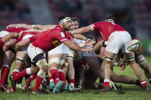 Deutschland - Kanada, WM-Qualifikationsspiel Qualifikationsspiel zum Rugby World Cup 2019 in Japan zwischen Deutschland und Kanada am 17.11.2018 in Marseille. Phil Mack (Canada, 9) startet einen neuen Spielzug., Marseille Bouches-du-Rhone Frankreich Stade Delort
