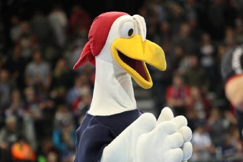 SIGI Flensburg Schleswig-Holstein Deutschland Flens-Arena Copyright: xAgentur54Gradx xSpeedphotosx