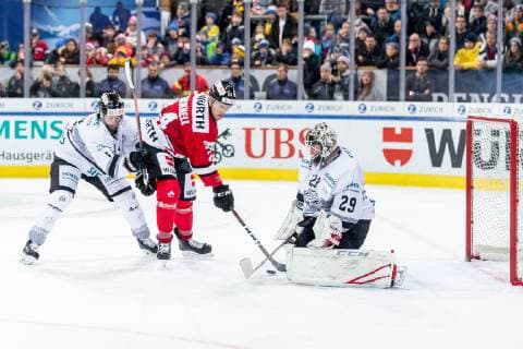 28.12.2018 - Eishockey - Saison 2018 2019 - Spengler Cup - Spiel 2: Team Canada - Thomas Sabo Ice Tigers Icetigers Nürnberg - ThHa - Andreas Jenike (29, Thomas Sabo Ice Tigers ) Tom Gilbert (14, Thomas Sabo Ice Tigers ) Adam Cracknell (24, Team Canada )