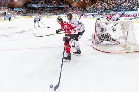 28.12.2018 - Eishockey - Saison 2018 2019 - Spengler Cup - Spiel 2: Team Canada - Thomas Sabo Ice Tigers Icetigers Nürnberg - ThHa - Maxim Lapierre (40, Team Canada ) Daniel Weiss Weiß (57, Thomas Sabo Ice Tigers )