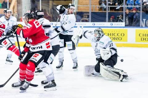 30.12.2018 - Eishockey - Saison 2018 2019 - Spengler Cup - Halbfinale: Team Canada - Thomas Sabo Ice Tigers Icetigers Nürnberg - ThHa - Niklas Treutle (31, Thomas Sabo Ice Tigers )