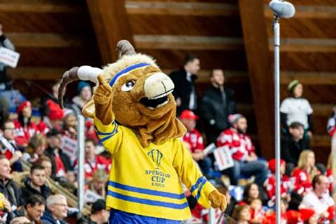 30.12.2018 - Eishockey - Saison 2018 2019 - Spengler Cup - Halbfinale: Team Canada - Thomas Sabo Ice Tigers Icetigers Nürnberg - ThHa - Hitsch (Maskottchen, Spengler Cup HC Davos )