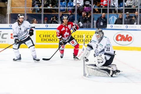 30.12.2018 - Eishockey - Saison 2018 2019 - Spengler Cup - Halbfinale: Team Canada - Thomas Sabo Ice Tigers Icetigers Nürnberg - ThHa - Niklas Treutle (31, Thomas Sabo Ice Tigers )
