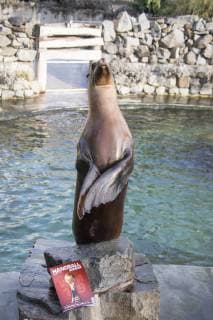 Orakel Astrid im Zoo Handball WM Koeln Deutschland Datum: 18.01.2019