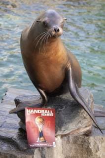 Orakel Astrid im Zoo Handball WM Koeln Deutschland Datum: 18.01.2019