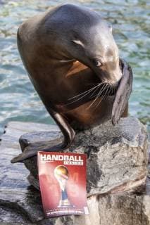 Orakel Astrid im Zoo Handball WM Koeln Deutschland Datum: 18.01.2019