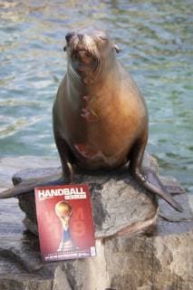 Orakel Astrid im Zoo Handball WM Koeln Deutschland Datum: 18.01.2019