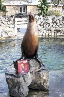 Orakel Astrid im Zoo Handball WM Koeln Deutschland Datum: 18.01.2019