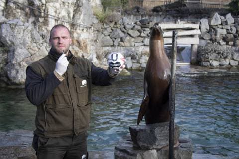 Orakel Astrid im Zoo Handball WM Koeln Deutschland Datum: 18.01.2019 Pfleger Julian Heck