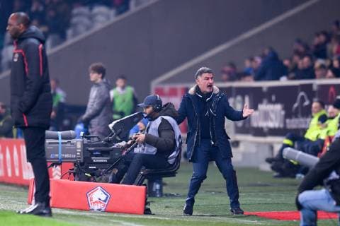 CHRISTOPHE GALTIER (ENTRAINEUR LILLE) FOOTBALL : Lille vs Nice - Ligue 1 Conforama - 01 02 2019 FEP Panoramic 