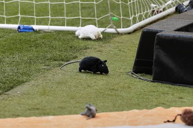 Sport Themen der Woche KW06 Sport Bilder des Tages Fußball, Atletico Madrid - Real Madrid Atletico de Madrid s fans throw fluffy rats during La Liga match between Atletico de Madrid and Real Madrid at Wanda Metropolitano Stadium in Madrid, Spain. February 09, 2019.  (201902090050)