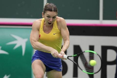 Romanian tennis player Simona Halep in action during the match against Karolina Pliskova of the Czech Republic during the Fed Cup World Group, 1st Round, between Czech Republic and Romania, in Ostrava, Czech Republic, on February 10, 2019. (CTKxPhoto PetrxSznapka) CTKPhotoP201902100338201  SZN 02