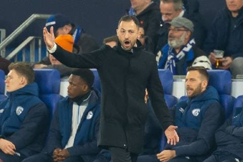 Gelsenkirchen, Germany, 20.02.2019, UEFA Champions League - 2018 19 Season, Achtelfinale, FC Schalke 04 - Manchester City, Trainer Domenico Tedesco (S04) gestikuliert, gestures ( DeFodi001