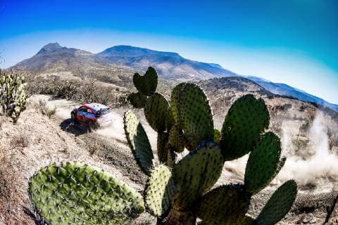 Neuville AUTOMOBILE : WRC Motorsport Rallye WM Rally du Mexique - 07 to 10 03 2019 SPRESSE PANORAMIC 