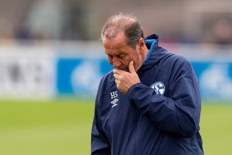 Gelsenkirchen, Germany 17.04.2019, Training FC Schalke 04, Trainer Huub Stevens (S04) schaut ( DeFodi053