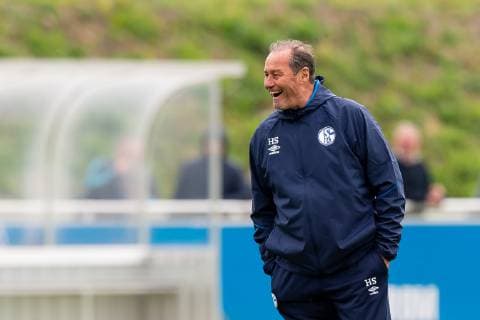 Gelsenkirchen, Germany 17.04.2019, Training FC Schalke 04, Trainer Huub Stevens (S04) schaut ( DeFodi053