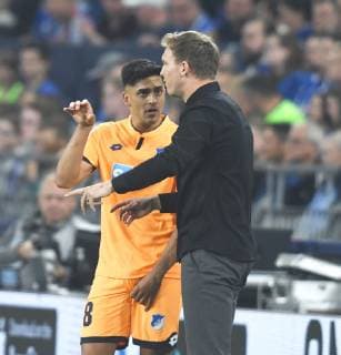 FC Schalke 04 - TSG 1899 Hoffenheim 20.04.2019 Nadiem Amiri (TSG) und Trainer Julian Nagelsmann (TSG) gestikulieren DFL REGULATIONS PROHIBIT ANY USE OF PHOTOGRAPHS AS IMAGE SEQUENCES AND OR QUASI-VIDEO