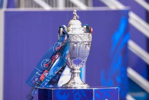 Illustration - trophee FOOTBALL : Stade Rennais vs Paris Saint Germain - Finale Coupe de France - 27 04 2019 FedericoPestellini Panoramic 