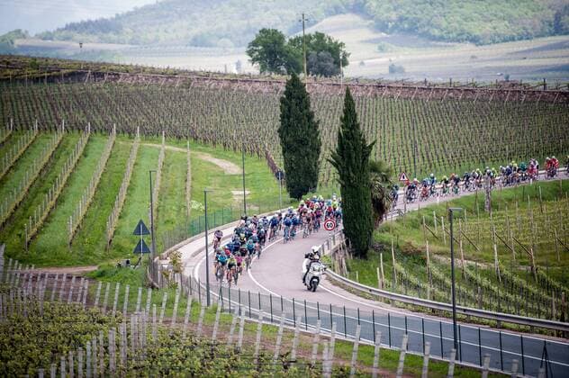 Das Fahrerfeld Peloton waehrend der 5.Etappe der Tour of the Alps 2019 - hier kurz nach dem Start in der Altstadt von Kaltern - Landschaft - Landscape - Feature - Natur - Hintergrund - Illustration - Impression - Uebersichtsbild - kompaktes Fahrerfeld - Aktion Rennszene - Querformat - quer - horizontal - Event Veranstaltung: 43. Tour of the Alps - 5.Etappe Stage 5: Caldaro Kaltern to Bolzano Bozen 147.8 km - Ort Location: Bozen - Region: Trentino - Land Country: Italien Italy - Datum Date: 26.04.2019 Cycling Radsport 43. Tour of the Alps - 5.Etappe 26.04.2019