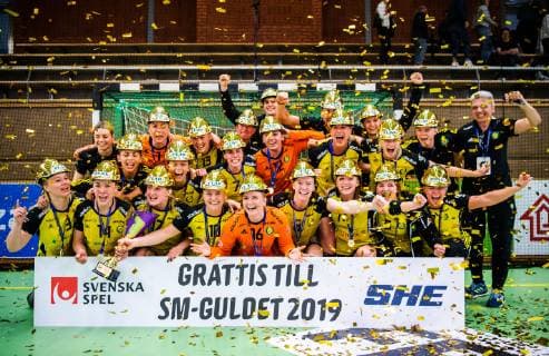 Handball, Damen, Sävehof IK gewinnt die schwedische Meisterschaft 190519 Sävehofs spelare jublar med pokalen efter final 3 i SHE mellan Skuru och Sävehof den 19 maj 2019 i Stockholm. Copyright: JESPERxZERMAN BB190519JZ048