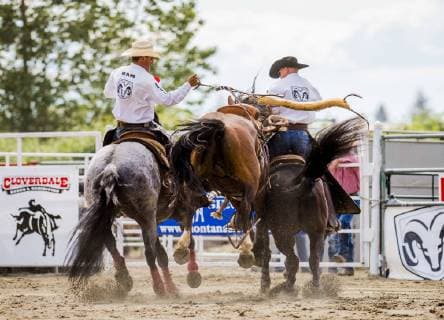 May 19, 2019 - Surrey, British Columbia, Canada - Cowboys wrangle a loose saddle bronc horse during the Cloverdale Invitational Rodeo on May 19 2019 in Surrey, BC Canada. The Cloverdale Invitational Rodeo 2019 - ZUMAg236 20190519_spo_g236_035 Copyright: xCaraxGrimshawx