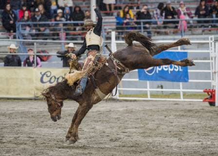 May 20, 2019 - Surrey, British Columbia, Canada - DUSTIN FLUNDRA rides in the saddle bronc competition at the Cloverdale Invitational Rodeo on May 20 2019 in Surrey, BC. The Cloverdale Invitational Rodeo 2019 - ZUMAg236 20190520_spo_g236_104 Copyright: xCaraxGrimshawx