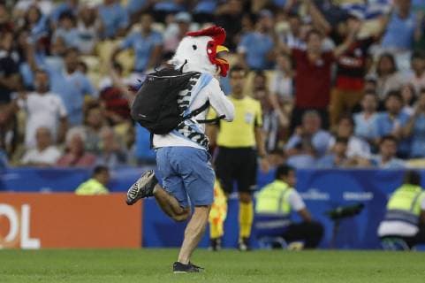Chile x Uruguay RIO DE JANEIRO, RJ - 24.06.2019: CHILE X URUGUAY - Rooster invades lawn during a match between Chile and Uruguay, valid for the group stage of the Copa America 2019, held this Monday (24) at the Maracanã Stadium in Rio de Janeiro, RJ. (Photo: Ricardo Moreira Fotoarena) x1752602x  RicardoxMoreira