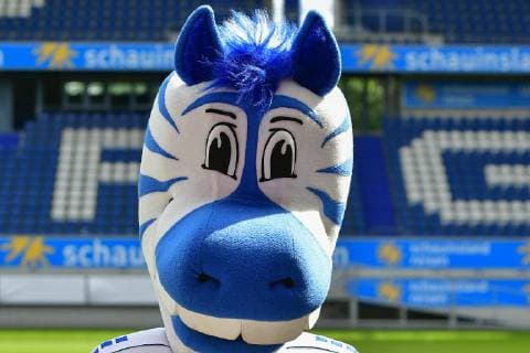 GER, offizieller Fototermin Porträttermin Portraettermin MSV Duisburg Maskottchen Ennatz; MSV Duisburg; 3. Liga - DFB, Porträttermin 2019 2020 quer, Querformat