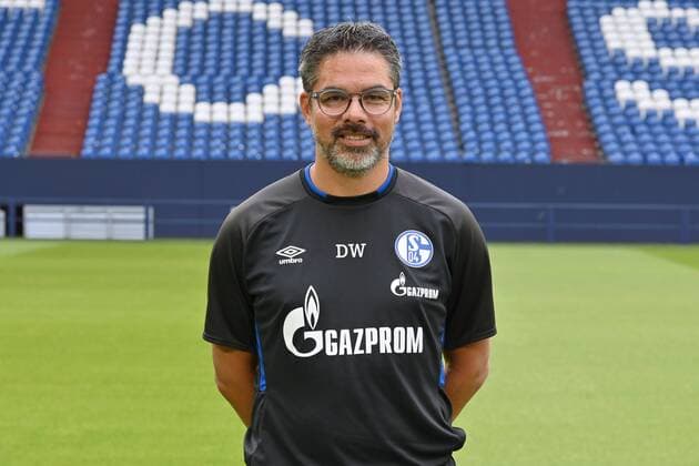 Trainer David Wagner; FC Schalke 04; 1.BL, Porträttermin 2019 2020