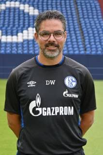 Trainer David Wagner; FC Schalke 04; 1.BL, Porträttermin 2019 2020